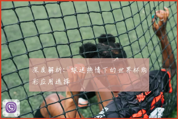 深度解析:球迷热情下的世界杯购彩应用选择