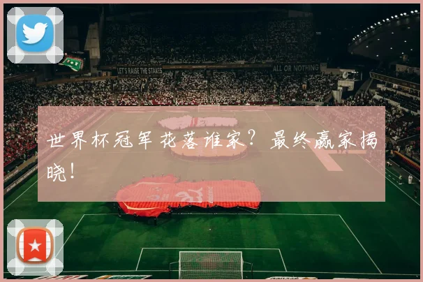 世界杯冠军花落谁家?最终赢家揭晓!