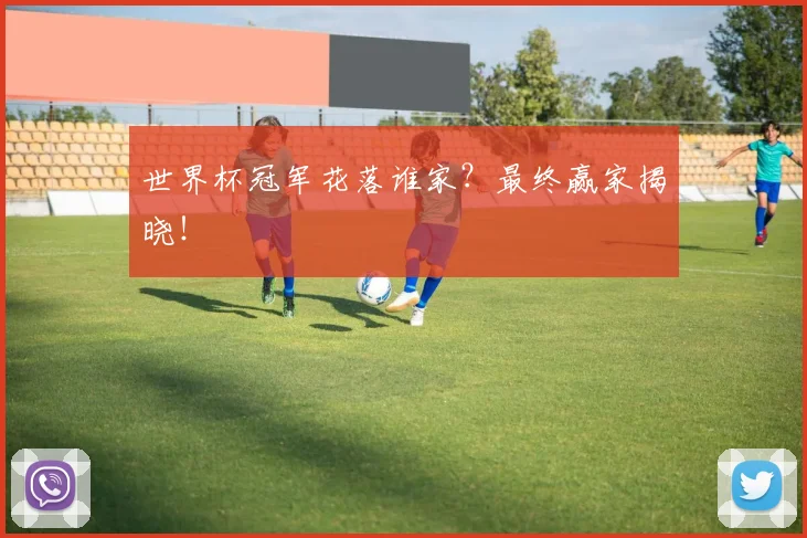 世界杯冠军花落谁家?最终赢家揭晓!