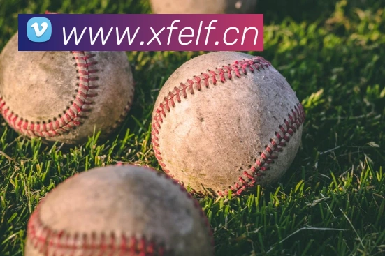 leyu乐鱼平台生态图